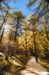snow mountain at Yading nature reserve, The last Shangri la, Daocheng-Yading, Sichuan, China.
