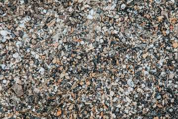 Colorful sea or river pebbles, rocks and shells