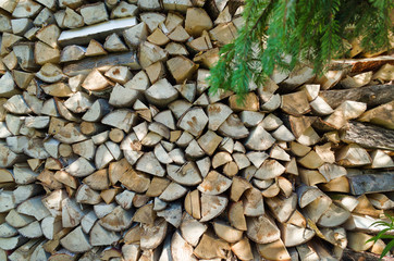 Fresh chopped firewood stacked in rows