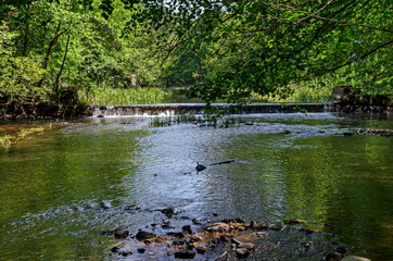 Мagnetic landscape of summer nature, green deciduous forest and river Iskar with small  waterfall close up in the Lozen mountain, Bulgaria, Europe  