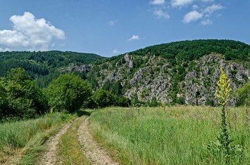 Fototapeta na wymiar General view with road toward large and well formed rocks resemble humans, beasts and other bizarre forms of peak Garvanets or raven is the most interesting natural landmark of Lozenska mountain, Bulg