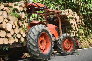 Orange tractor JCB or Truck loading wood in the forest,Fresh wooden natural sawn.