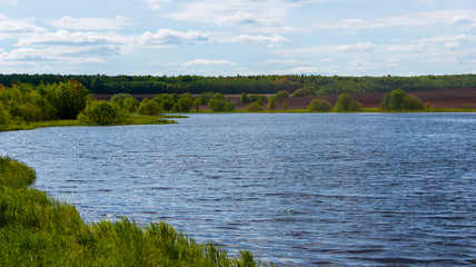 shore of the pond on a clear summer day