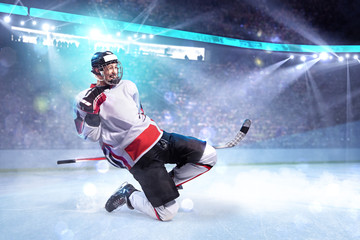 Hockey player celebrate goal. He very happy