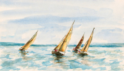 The race of sailboats