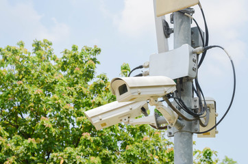 CCTV in green park for watching security.