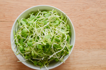 Dish of Salad with green young sunflower sprouts on wooden background.