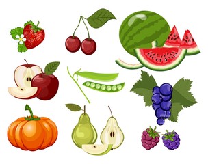 Organic diet healthy natural food, pumpkin, cherry, blackberry, apple, pear, raspberry, strawberry, watermelon, currant, pea.