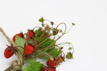 bouquet of wild strawberry berries close-up