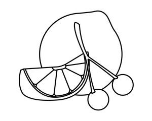 Lemon citric fruit sliced and cherries in black and white