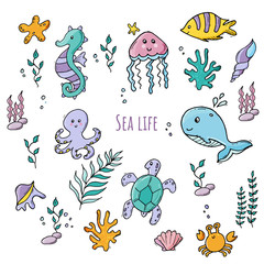 Colorful set of various sea creatures and sea plants