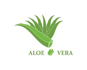 aloevera logo icon vector illustration design