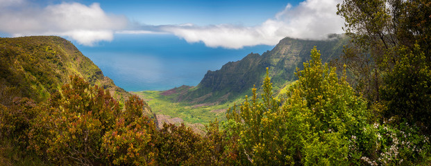 Naklejka na ściany i meble Kalalau Lookout, Kauai, Hawaii. A superb view into the heart of the Kalalau Valley one of the most photographed and well recognized valleys in all of Hawaii featured in many movies and TV shows.