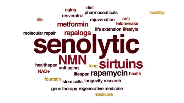 Senolytic animated word cloud. Kinetic typography.