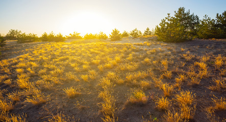 sandy prairie landscape at the sunset