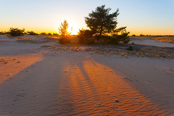 sandy desert landscape at the sunset