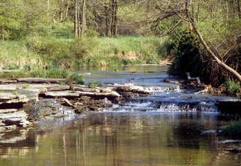 Fototapeta na wymiar Small trickling creek with rocky bans and trees along the side