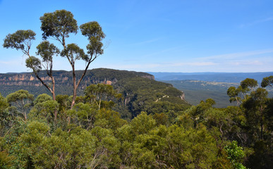 Fototapeta na wymiar Scenic views of Narrowneck plateau which divides the Jamison and Megalong valleys in the Blue Mountains, Australia. View from Cahill's lookout.