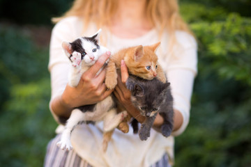 Obraz premium young girl holding three beautiful kittens outdoor adoption concept. homeless kittens. the problem of stray animals