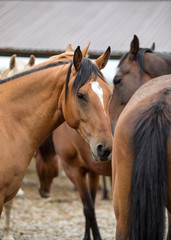 Obraz premium communication