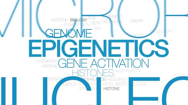 Epigenetics animated word cloud. Kinetic typography.