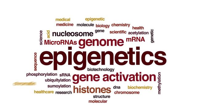 Epigenetics animated word cloud. Kinetic typography.