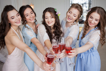 Cheerful young girlfriends raise a toast and clink glasses.