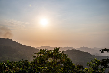 fresh green jungle nature in the mountains of colombia