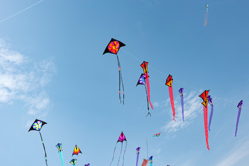 Kites with blue sky and white clouds