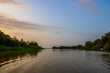A wide, shallow water stream flows calmly through the deep South American jungle at blue violet dusk
