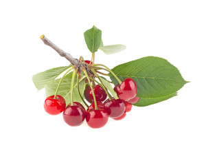 berries sweet cherry isolated on white background