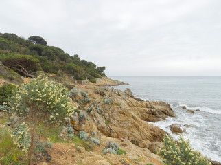 Cap lardier en Provence-Var-côte-d'Azur. Sentier littoral de la plage de Gigaro à la pointe de Brouis