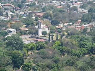 Flowers of malinalco