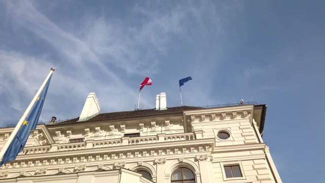 Hofburg Wien, Fahnen und Eingang