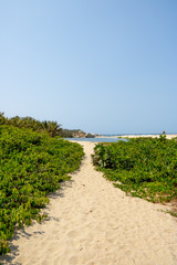 Fototapeta na wymiar Sandweg durch grünes tropisches Paradies am Meer