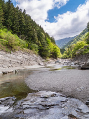 徳島県 三好市 祖谷のかずら橋