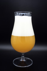 glass of beer on black background, glass of beer