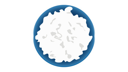 Cottage cheese isolated vector illustration