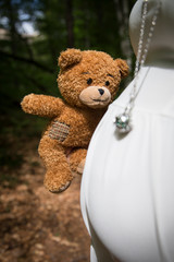 teddy bear on forest background