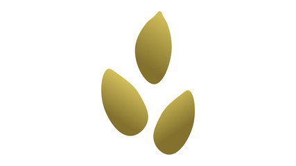 Pumpkin seeds isolated vector illustration