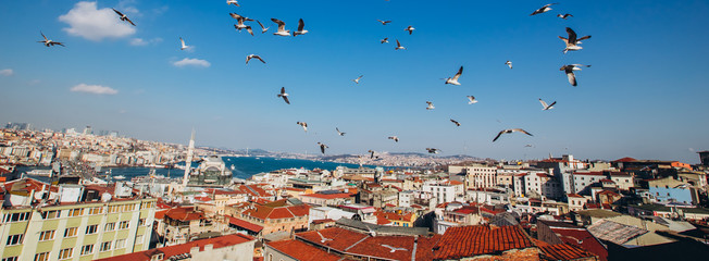 View of the Bosphorus Bay from the roof. Red roofs of Istanbul. Gulls fly to Istanbul, Turkey. Panorama of the embankment of Istanbul in the summer.