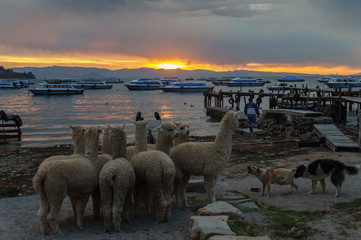 sunset over lake titicaca in bolivia © Mira