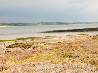Beautiful harbour landscape scene outside summer bar coast