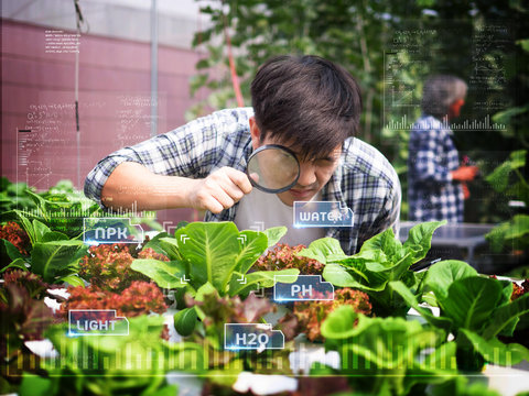 young smart Asia Farmer using Ar,Vr,3d projection glass Technology at his smart farm. - Powered by Adobe