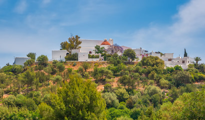 green and leafy vegetation on the hill where the old and white hermitage is located, church of Santa Eulalia, puig de missa, on the island of Ibiza, Spain