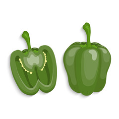 Realistic bell peppers, vector illustration