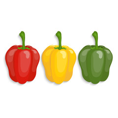 Realistic yellow, red and green bell peppers, vector illustration