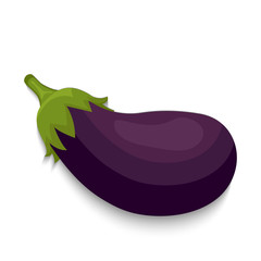 Eggplant vegetable whole  vector illustration