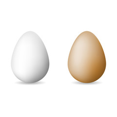 Colored eggs for Easter celebration vector illustration