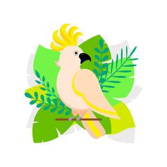 Vector illustration of exotic bird parrot cockatoo with tropical flowers, palm leaves. Exotic tropical bird.